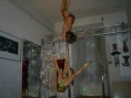 /album/studio-in-trastevere-allievi/a4-luglio-2010-14-jpg/